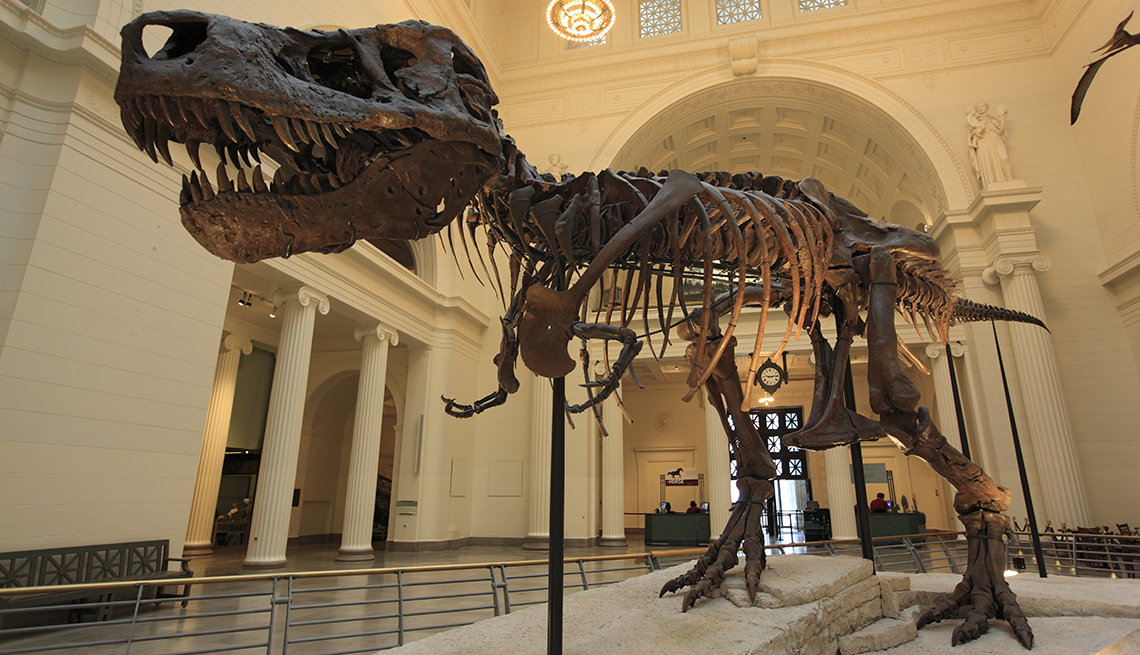 Dinosaurio en el Field Museum de Chicago