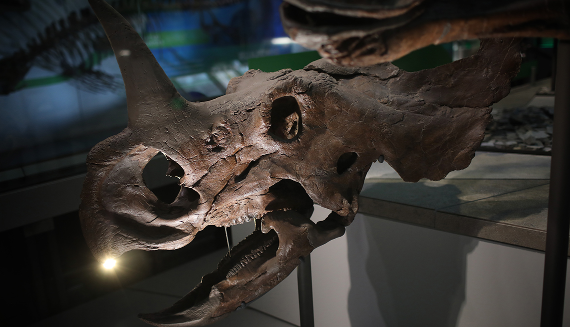 Dinosaurio en el Museo Nacional de Historia Natural del Smithsonian