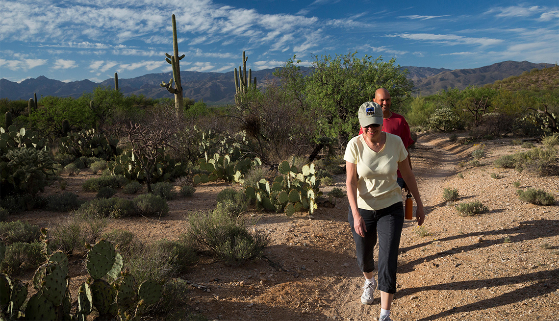 Hikers in the Cactus Forest in the Rincon Mountain District of Saguaro National Park.