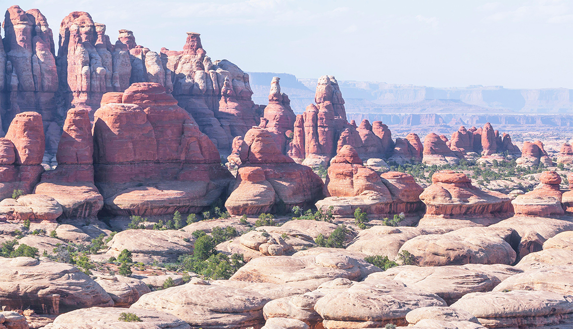 Sandstone pinnacles, Chesler Park, The Needles district, Canyonlands National Park