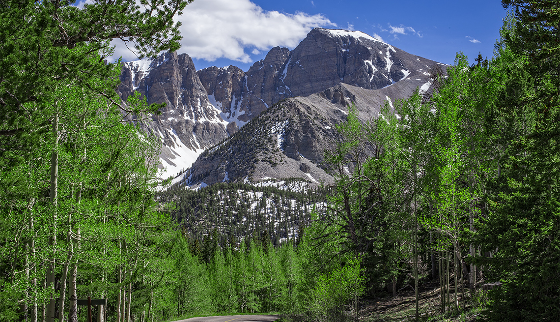 Vista desde la carretera que conduce a Wheeler Peak en el Parque Nacional de la Gran Cuenca
