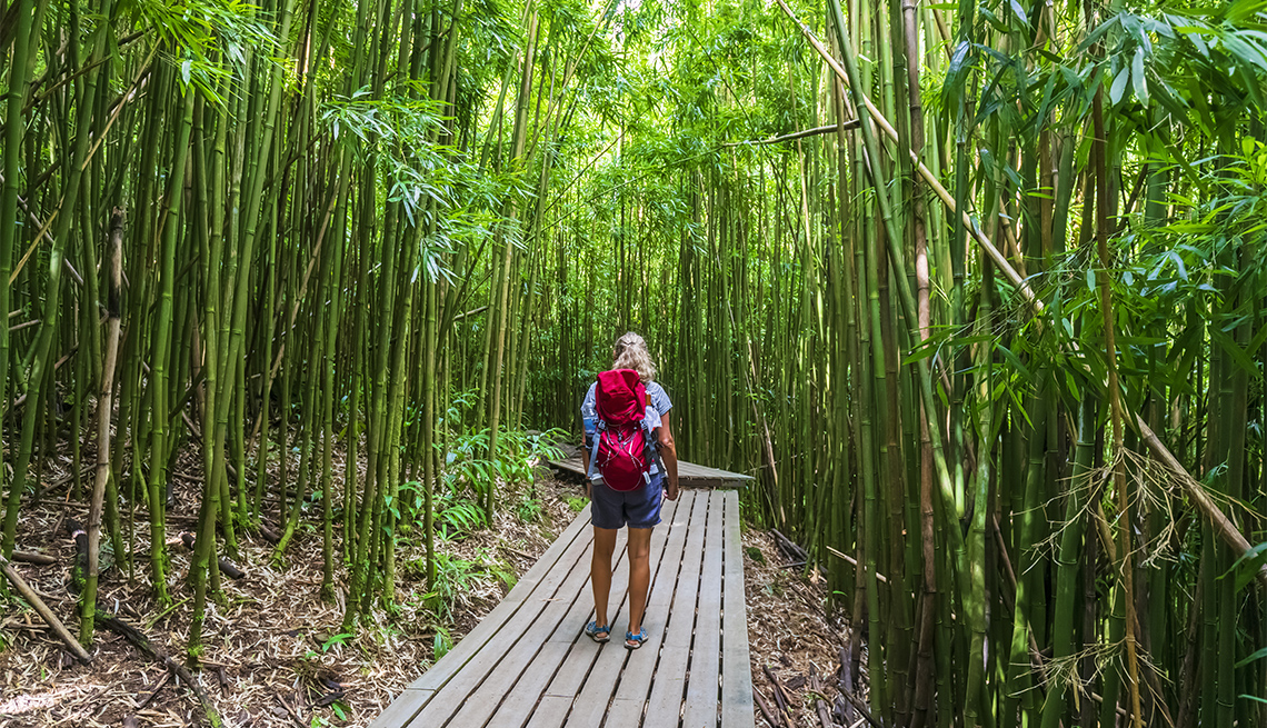 Mujer camina en medio de un bosque de bambú