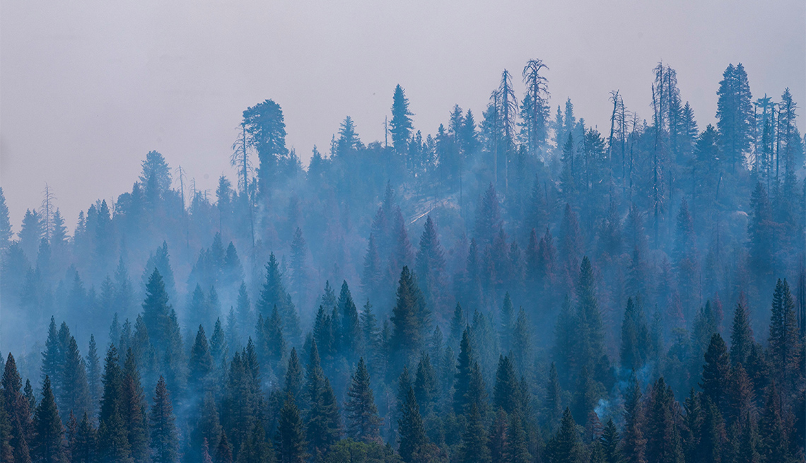 The Washburn Fire burns in Yosemite National Park, Calif, California, on July 12, 2022