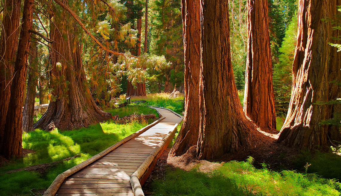 Sequoia and Kings Canyon National Parks Visitors Guide