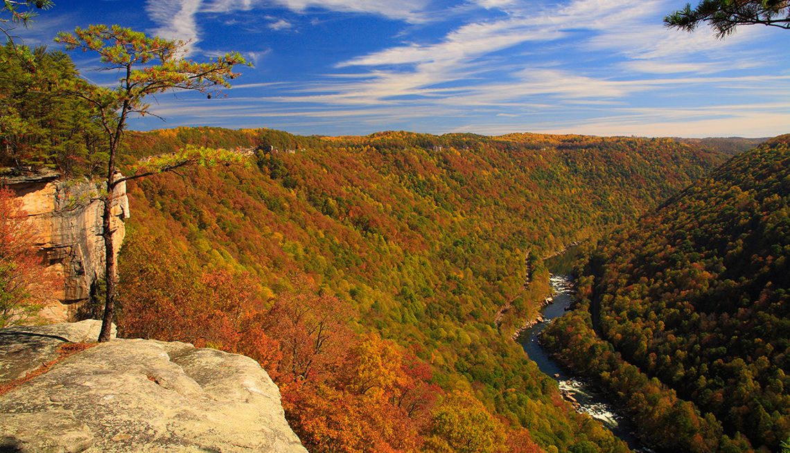 New River, Seen from Endless Wall Trail, New River Gorge National River, West Virginia,