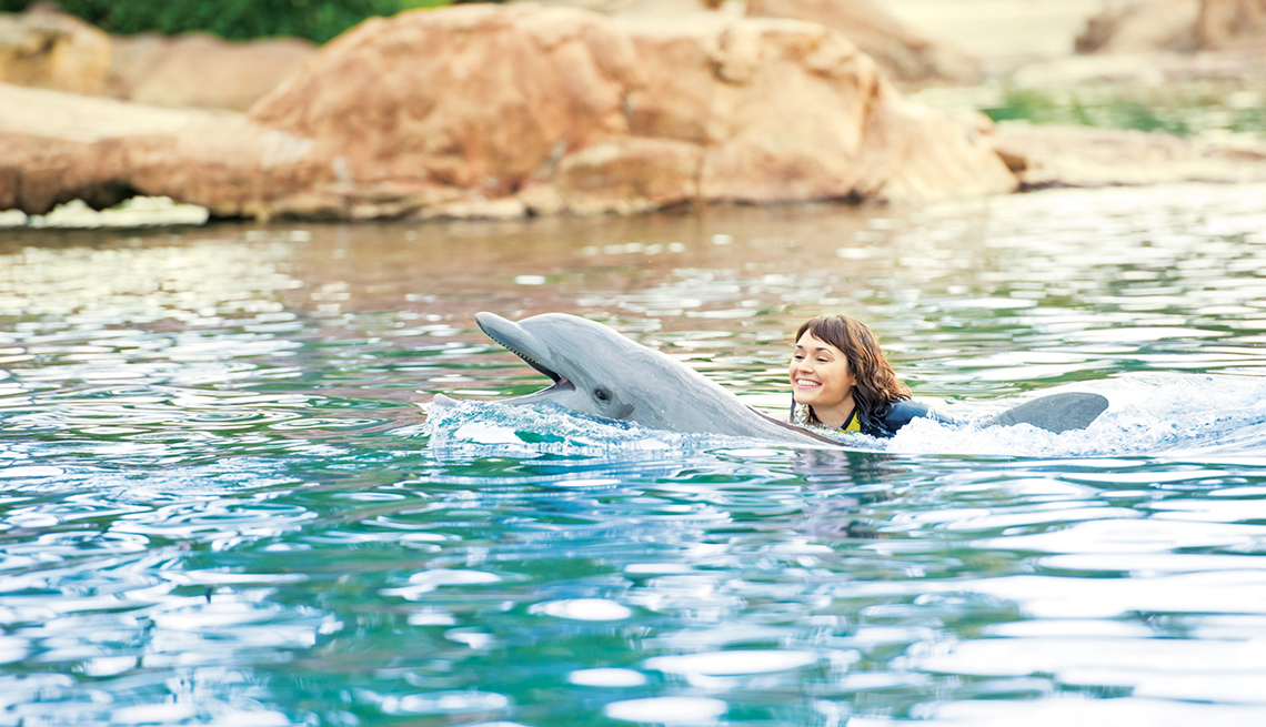 Viajaes para quinceañeras - Delfin y niña en el agua