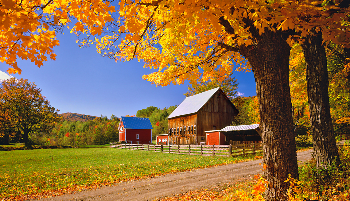 Pronostican deslumbrantes paisajes de otoño