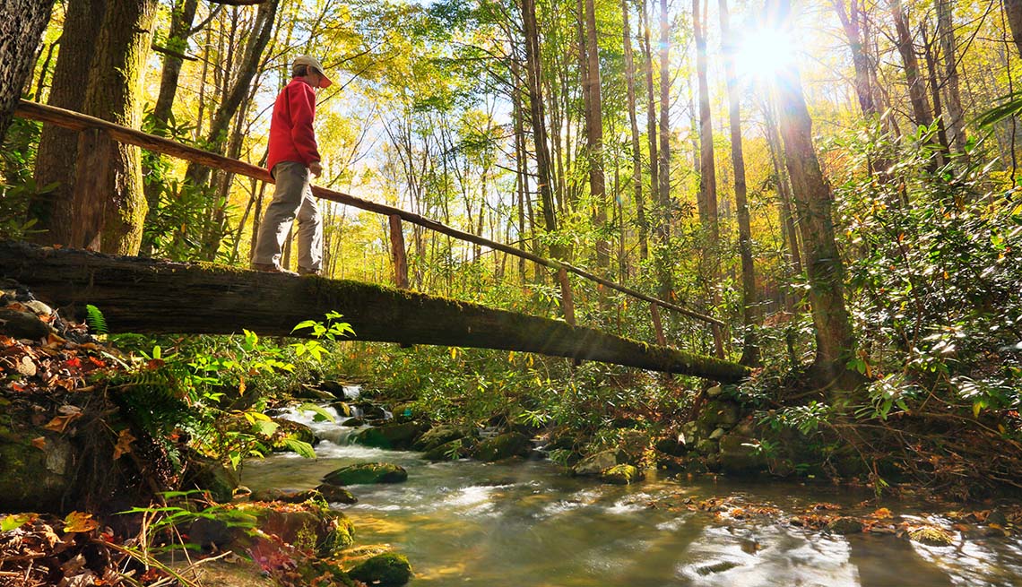 Lone Hiker In The Woods Of Tennessee, Wellness Vacations