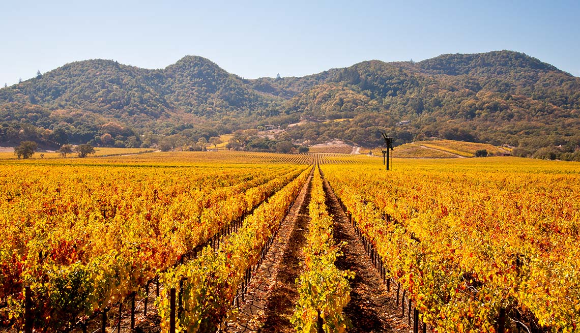 item 12 of Gallery image - The Napa Valley Vineyards In Autumn, California, Fall Vacations