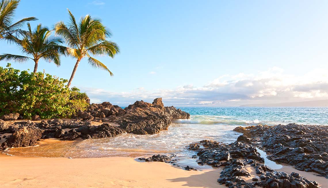 Makena cove tropical palm tree beach in Makena, Maui, Hawaii