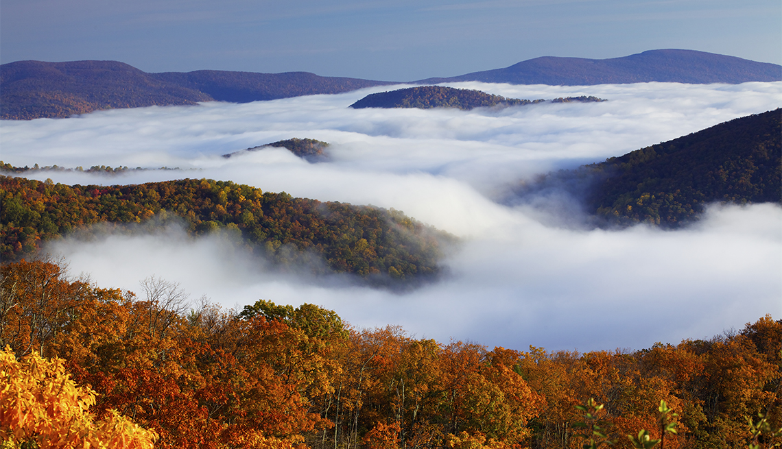 item 6 of Gallery image - Colores de otoño en el Shenandoah National Park