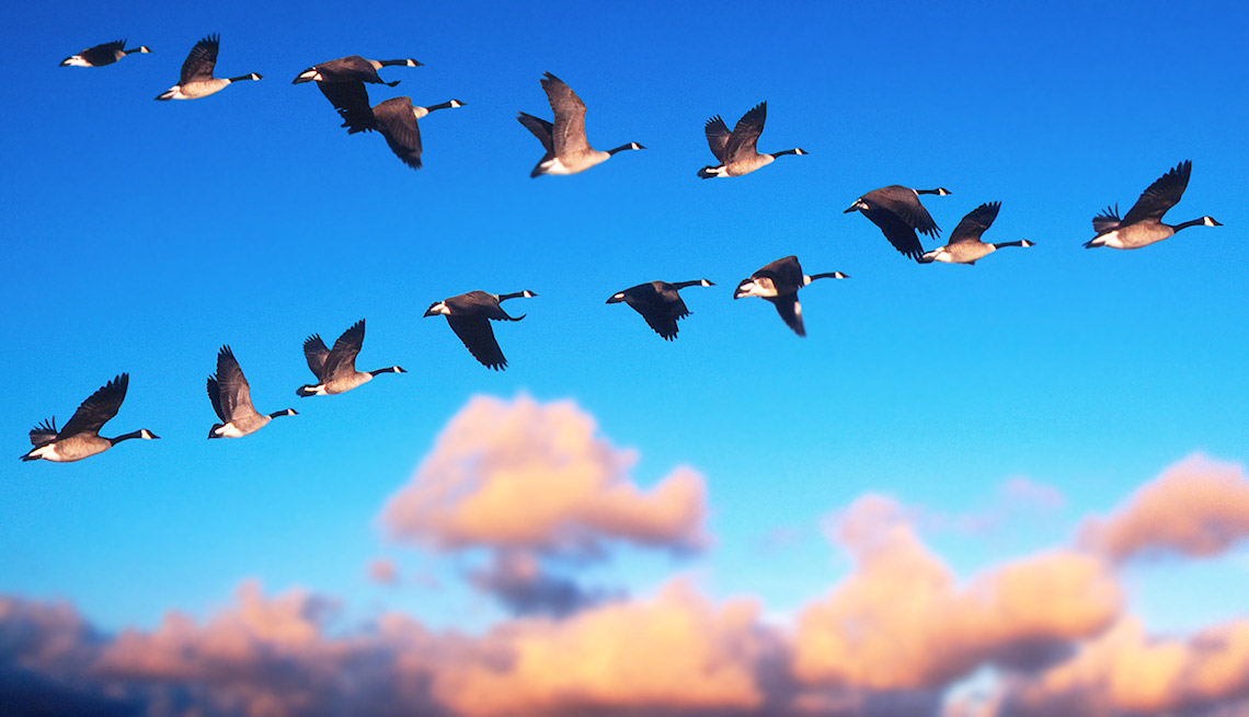 PartTime Seasonal Jobs for Snowbirds