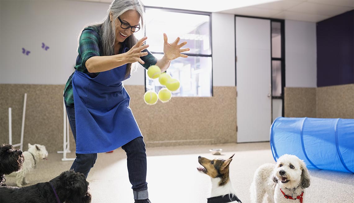 Una mujer mayor jugando con perros en un centro de mascotas - Herramientas para encontrar el trabajo de tus sueños.