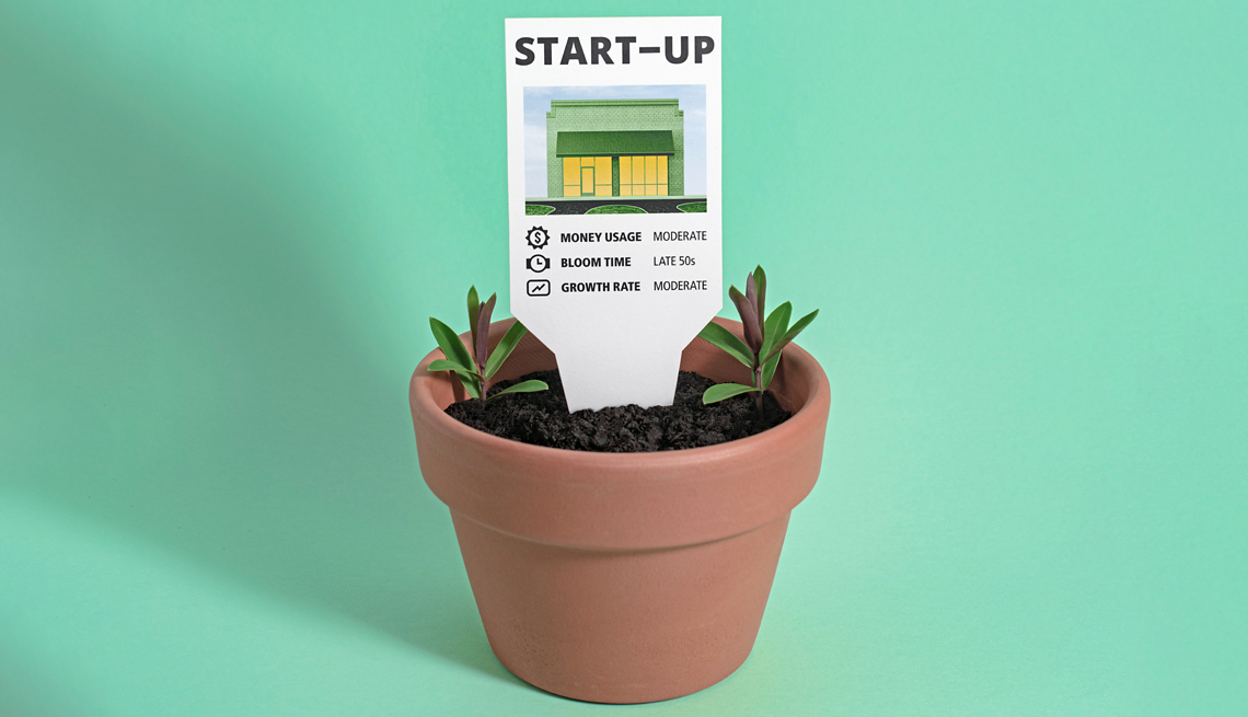 a clay planter with two growing plants in it and a plant label that says start up