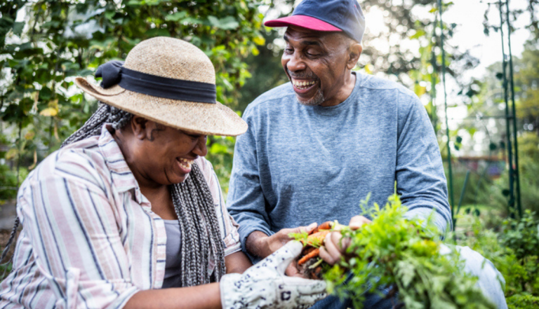 older couple picking out vegetables in garden
