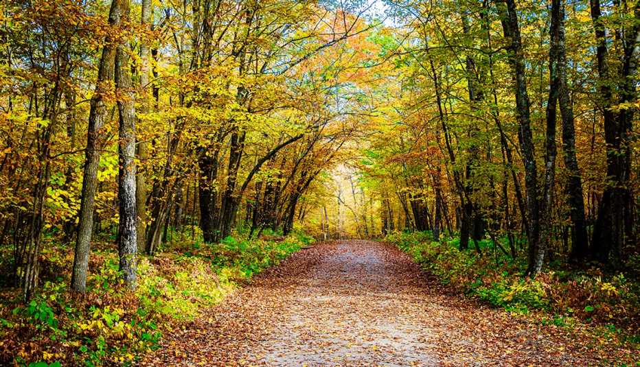 Falling for Fall - October 2024 Stunning fall colors in nature