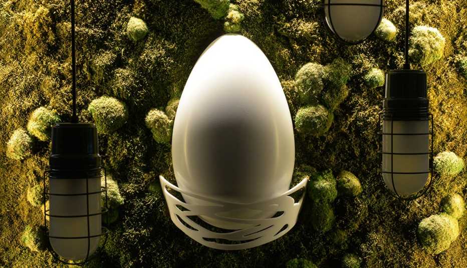 An egg inside the Hatchery at AARP An egg inside the Hatchery at AARP
