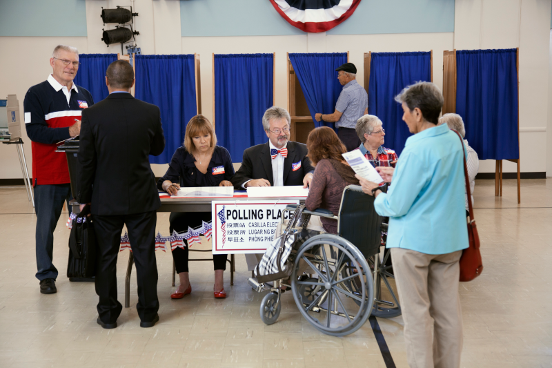 Voters at the polls