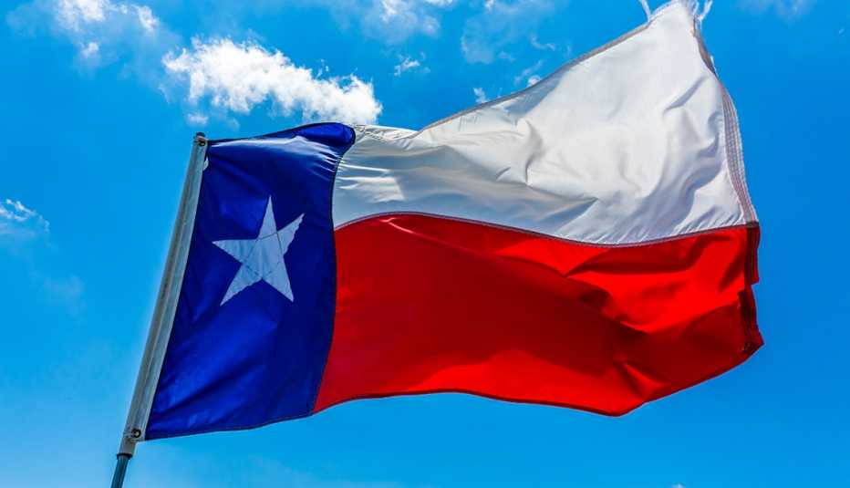 Texas state flag