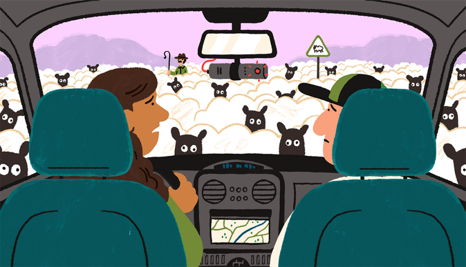a couple driving find the road blocked by a flock of sheep and their dash cam records it