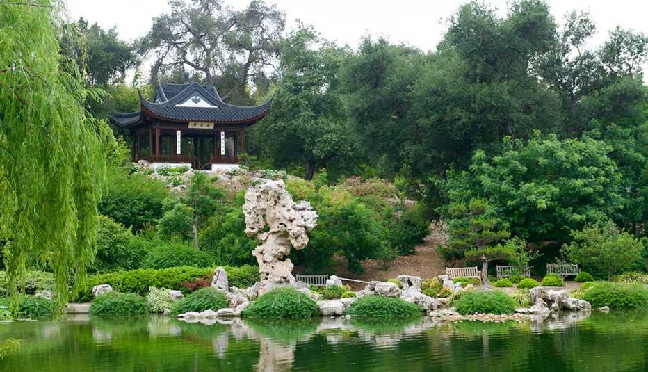 A view of Huntington Gardens
