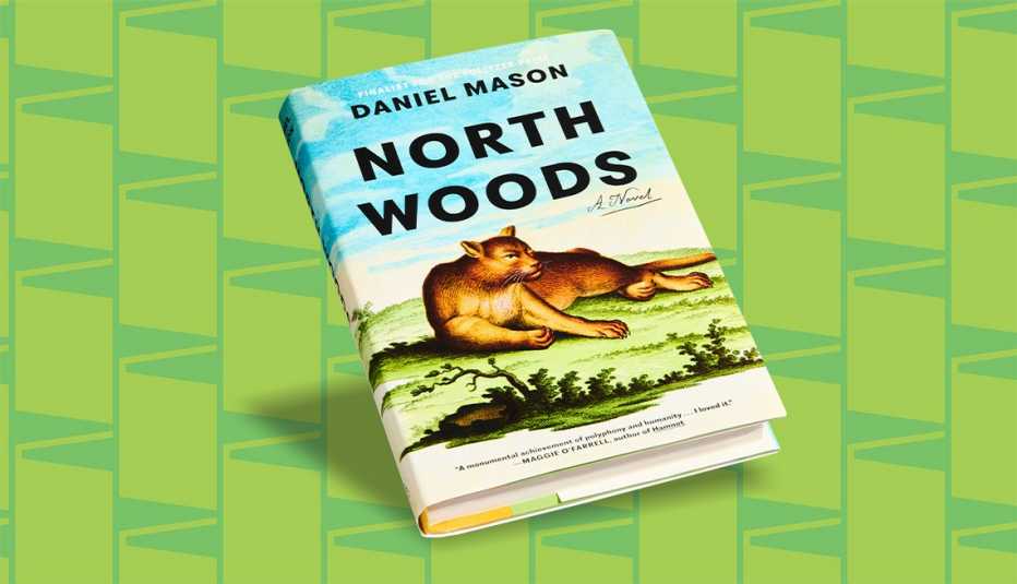 book cover with words daniel mason, north woods