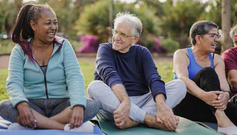 People doing a yoga class in a park
