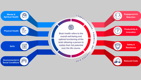 A graphic that shows different components that influence your brain health and unlock productivity