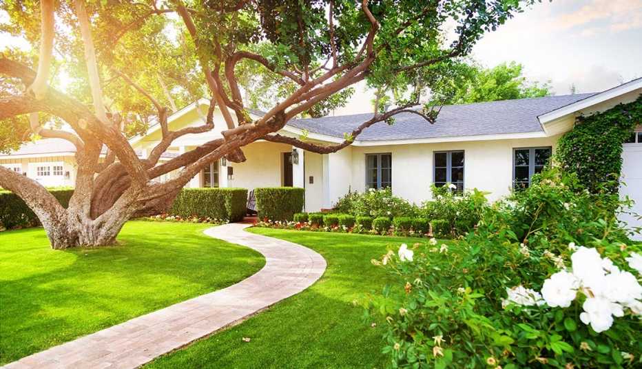 Single family home in with big green grass and yard