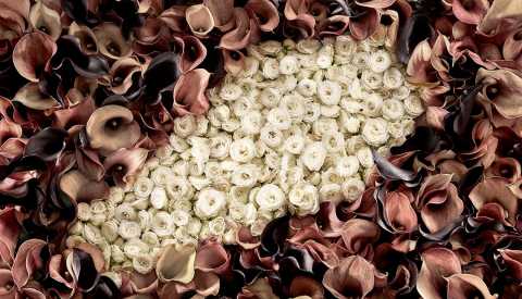 planning a funeral planning a funeral
