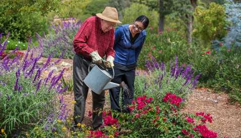 Elderly Man Flowers Watering Can, Nurse in Blue Helps, Assisted Living: Weighing the Options Elderly Man Flowers Watering Can, Nurse in Blue Helps, Assisted Living: Weighing the Options