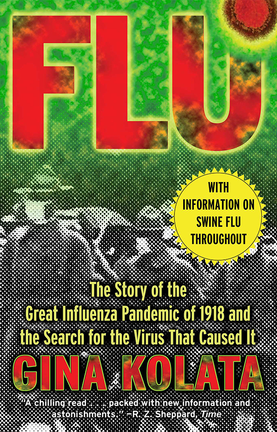 Flu book cover
