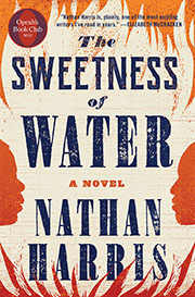 The Sweetness of Water