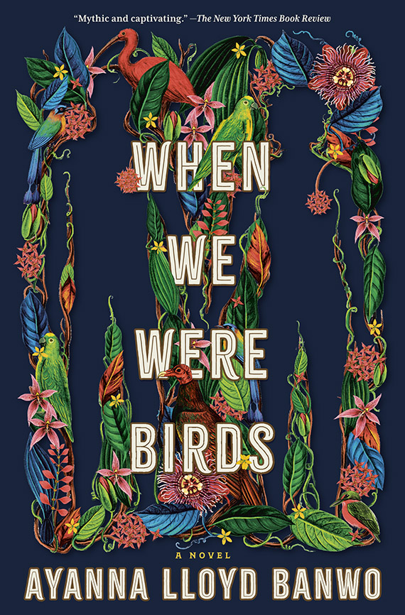 When We Were Birds book cover When We Were Birds book cover
