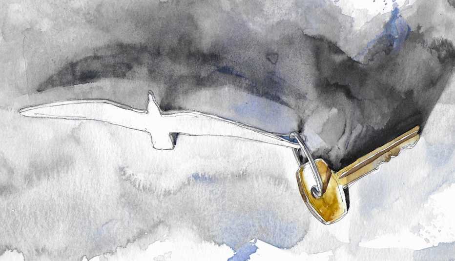 bird flying in sky carrying a key