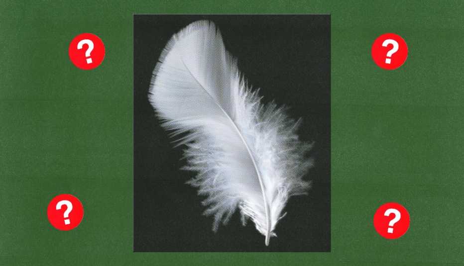 a feather