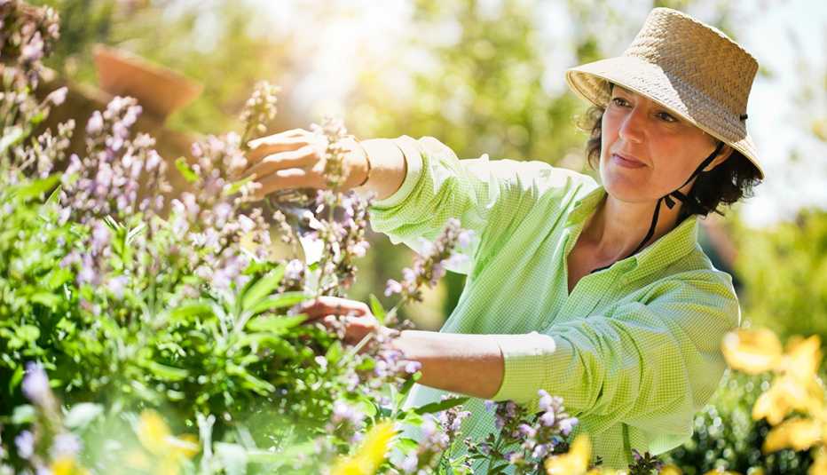 A woman trimming flowers in the garden A woman trimming flowers in the garden
