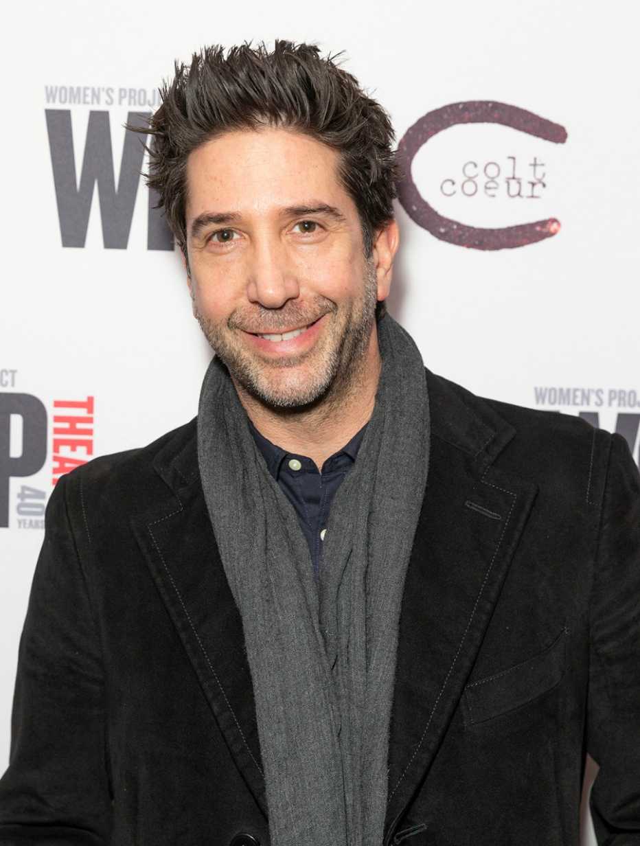 Actor David Schwimmer