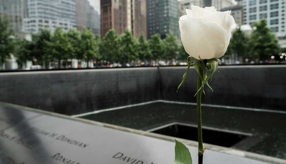 A white rose stands at the nine eleven memorial