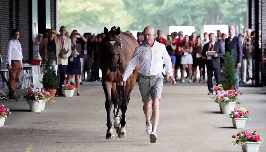 olympic equestrian andrew hoy of australia