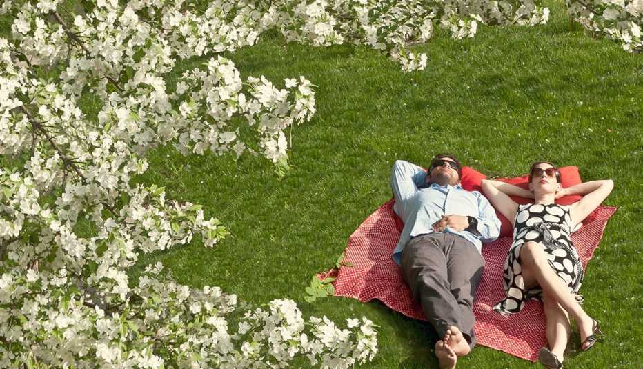 Couple sunbathing on lawn below blooming Crab Apple Tree.