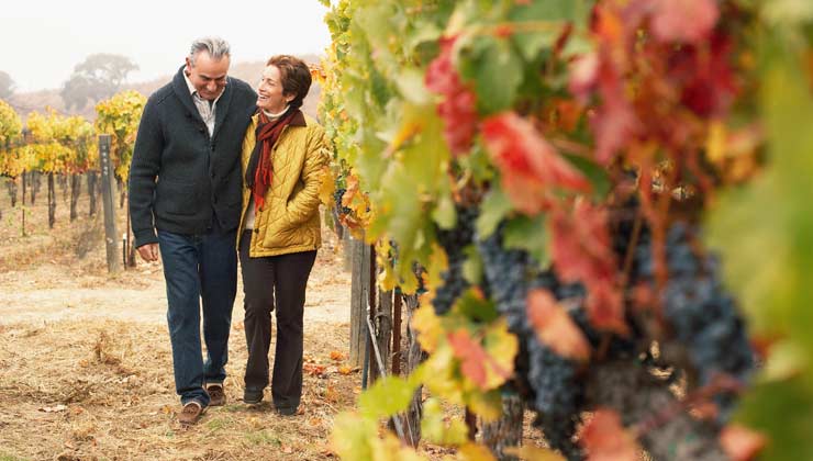 Mature couple walking in vineyard, first date Mature couple walking in vineyard, first date