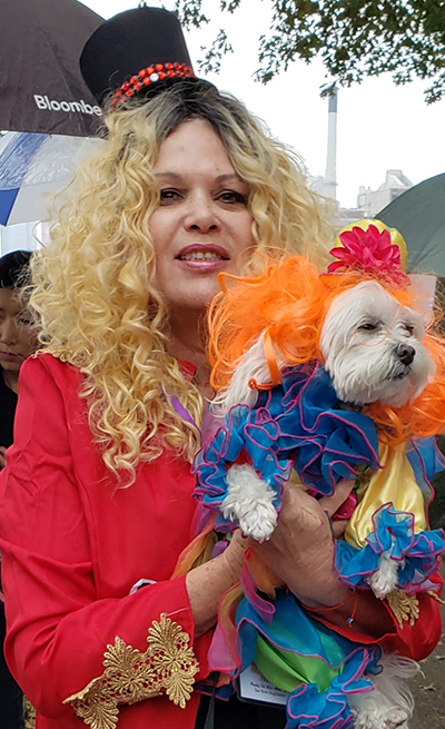 Pet Halloween costume