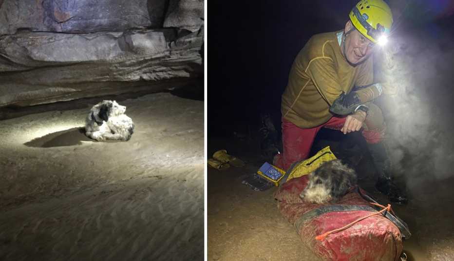 left abby a dog lost in a cave right rick haley who put the dog in a duffel bag left abby a dog lost in a cave right rick haley who put the dog in a duffel bag