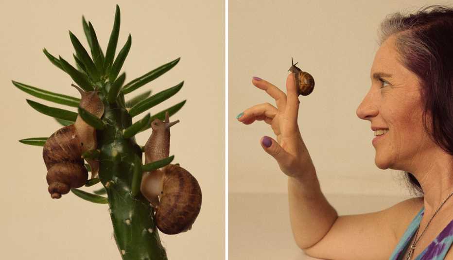 susan karlin and her pet snails