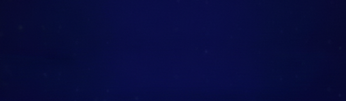 Hoop Havoc dark blue background