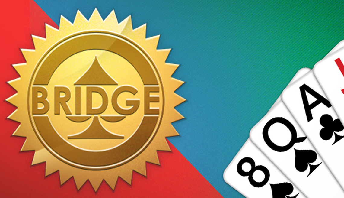 bridge promo game art