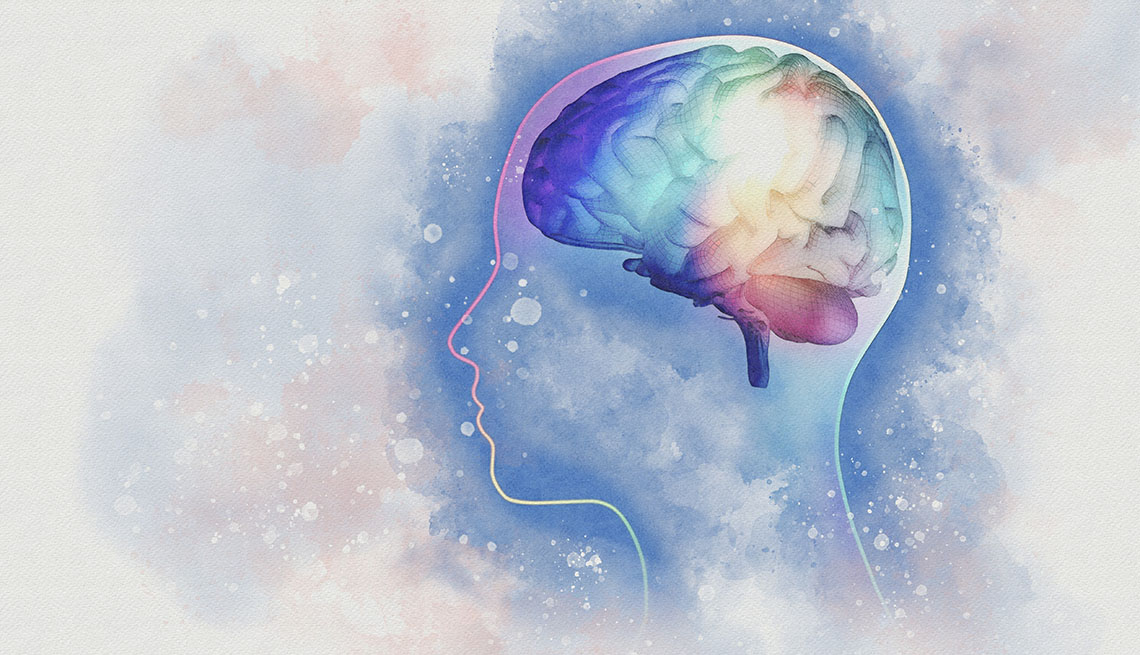human brain illustration