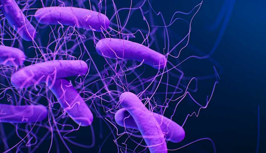 rendering of microscopic bacteria known as cee diff or clostridioides difficile