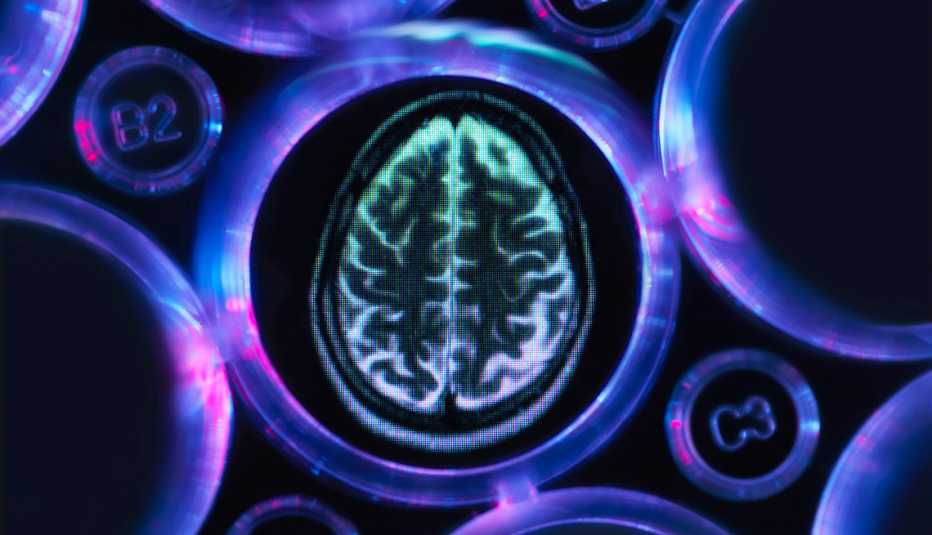 a brain scan in multi well tray used for research experiments in laboratory
